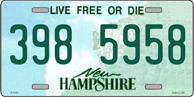 NH license plate 3985958