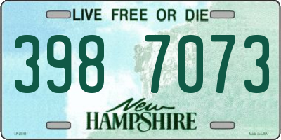 NH license plate 3987073