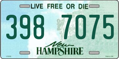 NH license plate 3987075