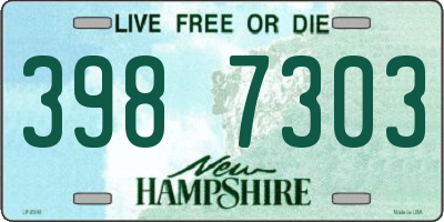 NH license plate 3987303