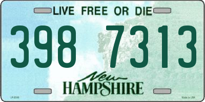NH license plate 3987313