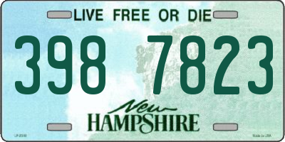 NH license plate 3987823