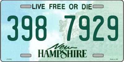 NH license plate 3987929