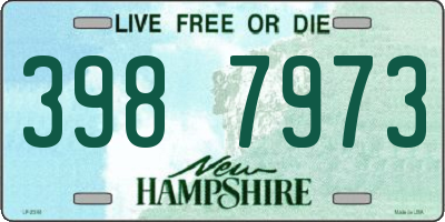 NH license plate 3987973