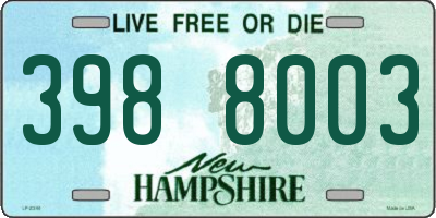 NH license plate 3988003