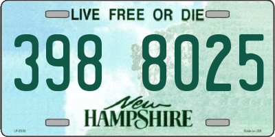 NH license plate 3988025