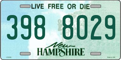 NH license plate 3988029