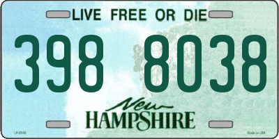 NH license plate 3988038