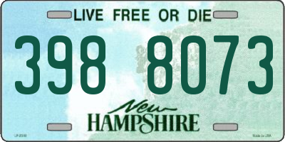 NH license plate 3988073