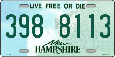 NH license plate 3988113