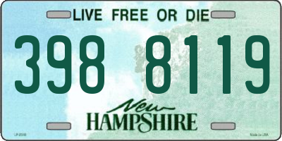 NH license plate 3988119