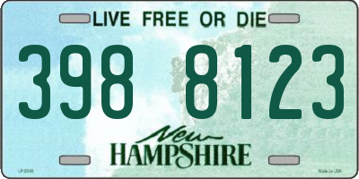 NH license plate 3988123