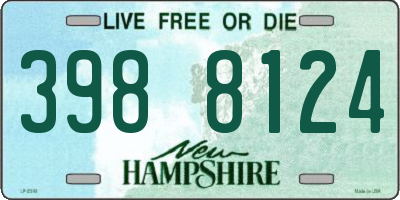 NH license plate 3988124