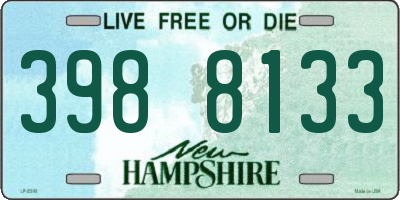 NH license plate 3988133