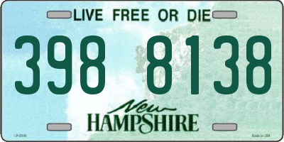 NH license plate 3988138