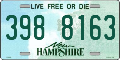 NH license plate 3988163