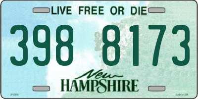 NH license plate 3988173