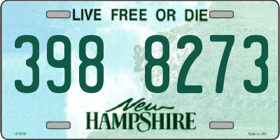 NH license plate 3988273