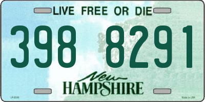 NH license plate 3988291