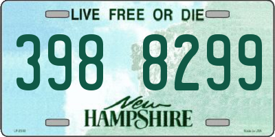 NH license plate 3988299