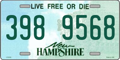 NH license plate 3989568