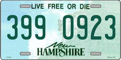 NH license plate 3990923