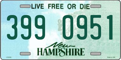 NH license plate 3990951