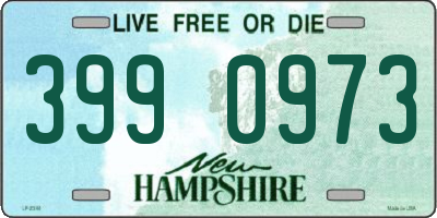 NH license plate 3990973