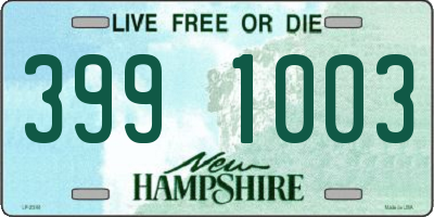 NH license plate 3991003