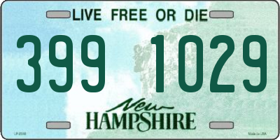 NH license plate 3991029