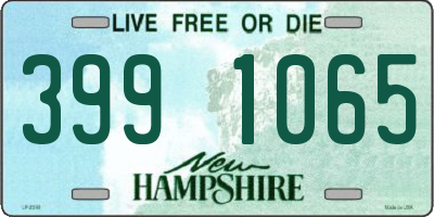 NH license plate 3991065