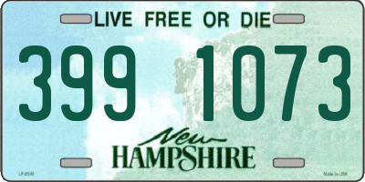 NH license plate 3991073