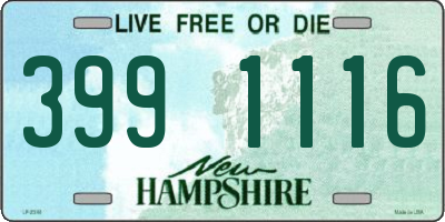 NH license plate 3991116