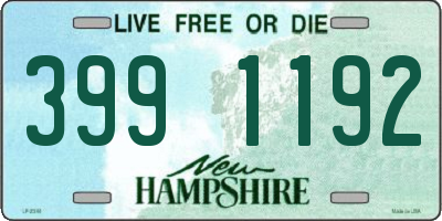 NH license plate 3991192