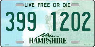 NH license plate 3991202