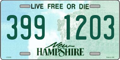 NH license plate 3991203