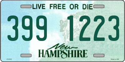 NH license plate 3991223