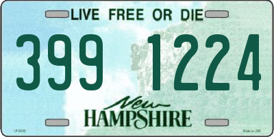 NH license plate 3991224