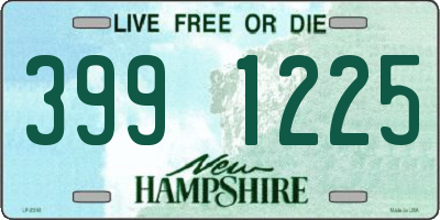 NH license plate 3991225