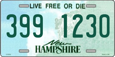 NH license plate 3991230