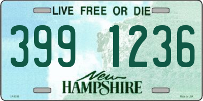 NH license plate 3991236