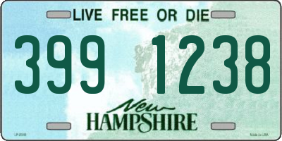 NH license plate 3991238