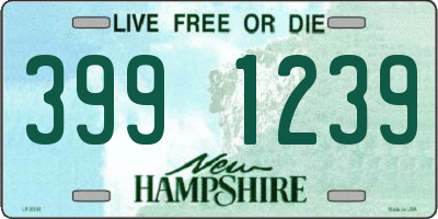 NH license plate 3991239