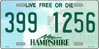 NH license plate 3991256