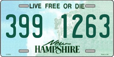 NH license plate 3991263