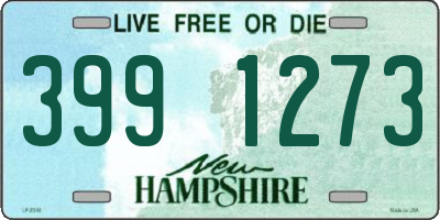 NH license plate 3991273