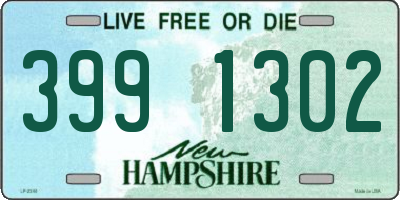 NH license plate 3991302