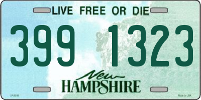 NH license plate 3991323