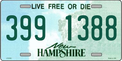 NH license plate 3991388