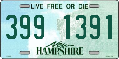 NH license plate 3991391